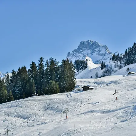 Apartment Les De L'aiguille C301 Le Grand-Bornand